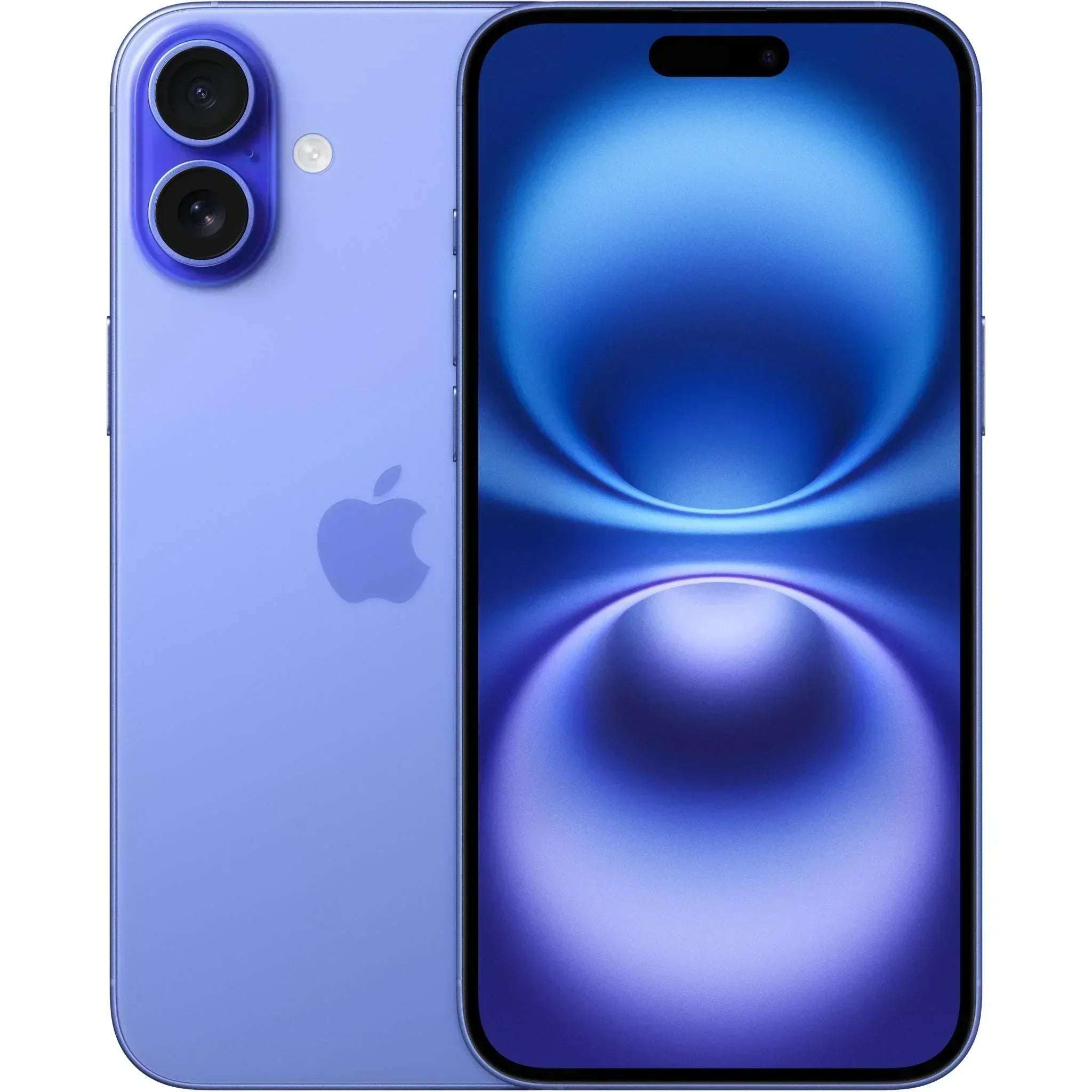 Blue_2c1ea563-7529-4133-8453-e2094f0e241b.jpg